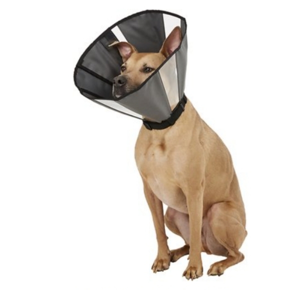 🐶Focus Pet Dog Cone - Picture 1 of 9